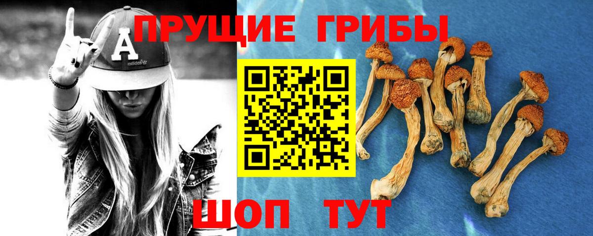 Псилоцибиновые грибы прущие грибы  Галлюциногенные грибы мицелий  Саянск  Вход с VPN 